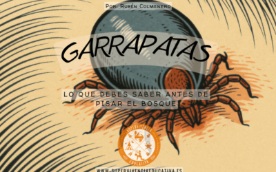 Garrapatas en la naturaleza: cómo prevenir picaduras y actuar rápido