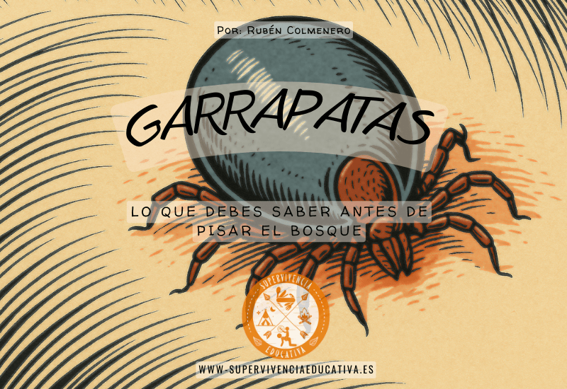 Garrapatas en la naturaleza: cómo prevenir picaduras y actuar rápido